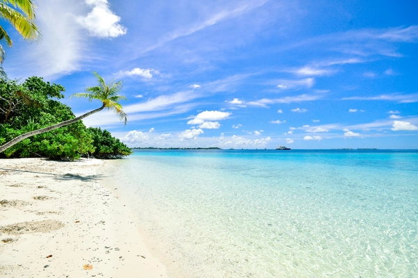 PARADISE ISLANDS